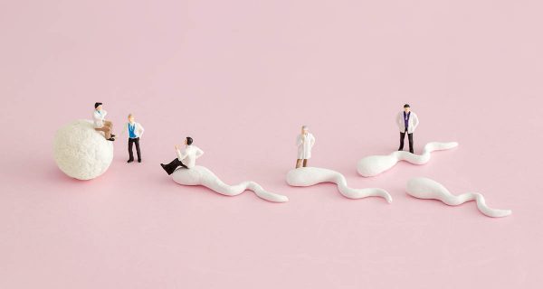 Miniature doctor and nurse “team specialists” in Zygote IntraFol