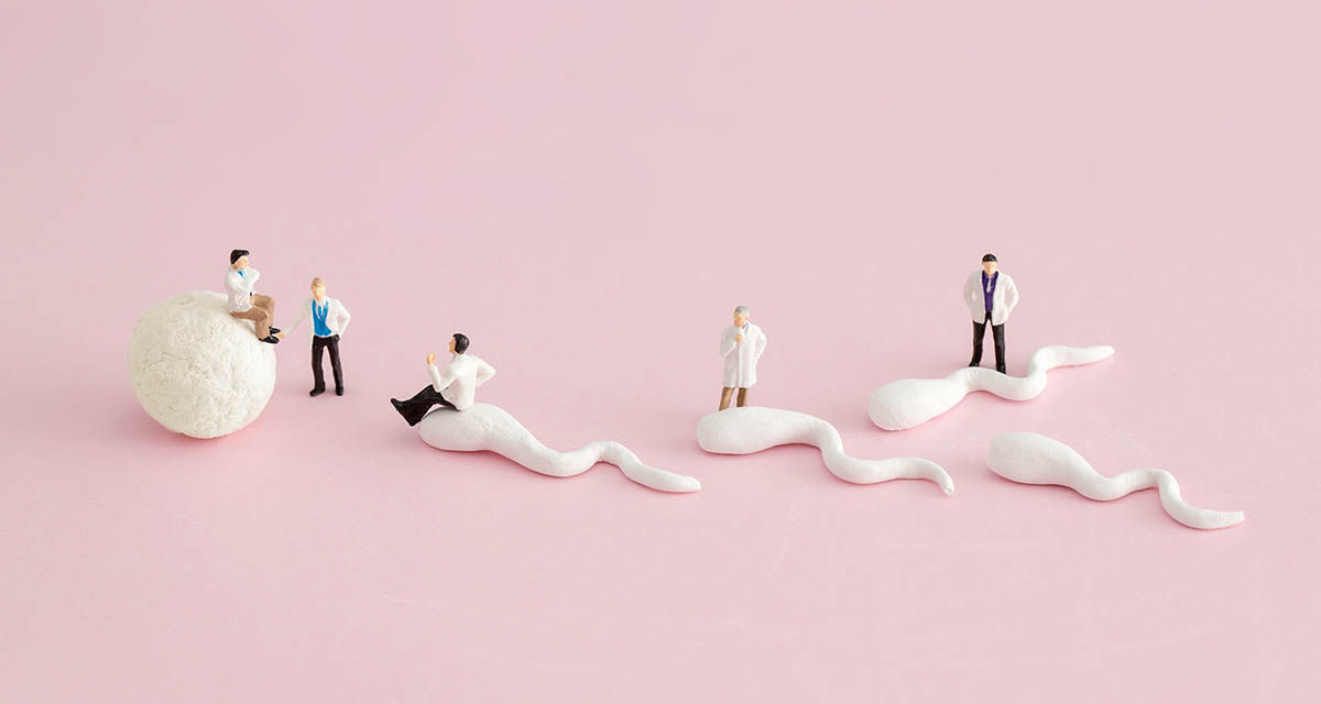 Miniature doctor and nurse “team specialists” in Zygote IntraFol