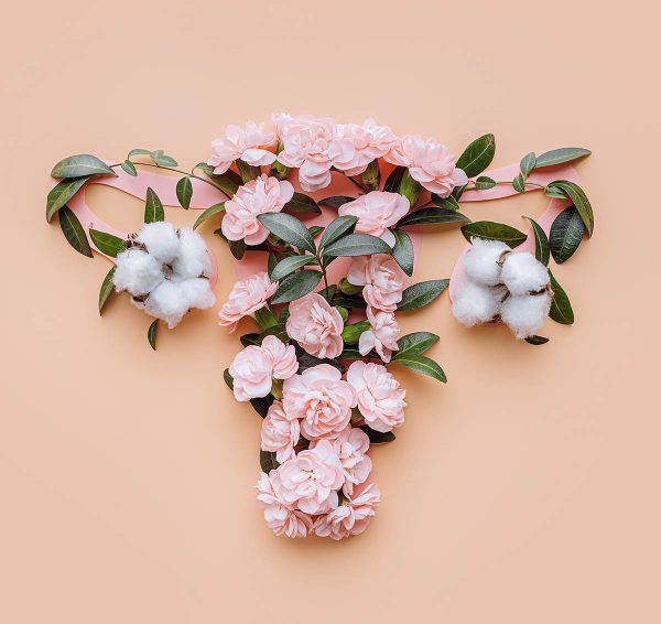 uterus conceptual image. female reproductive system made up of f