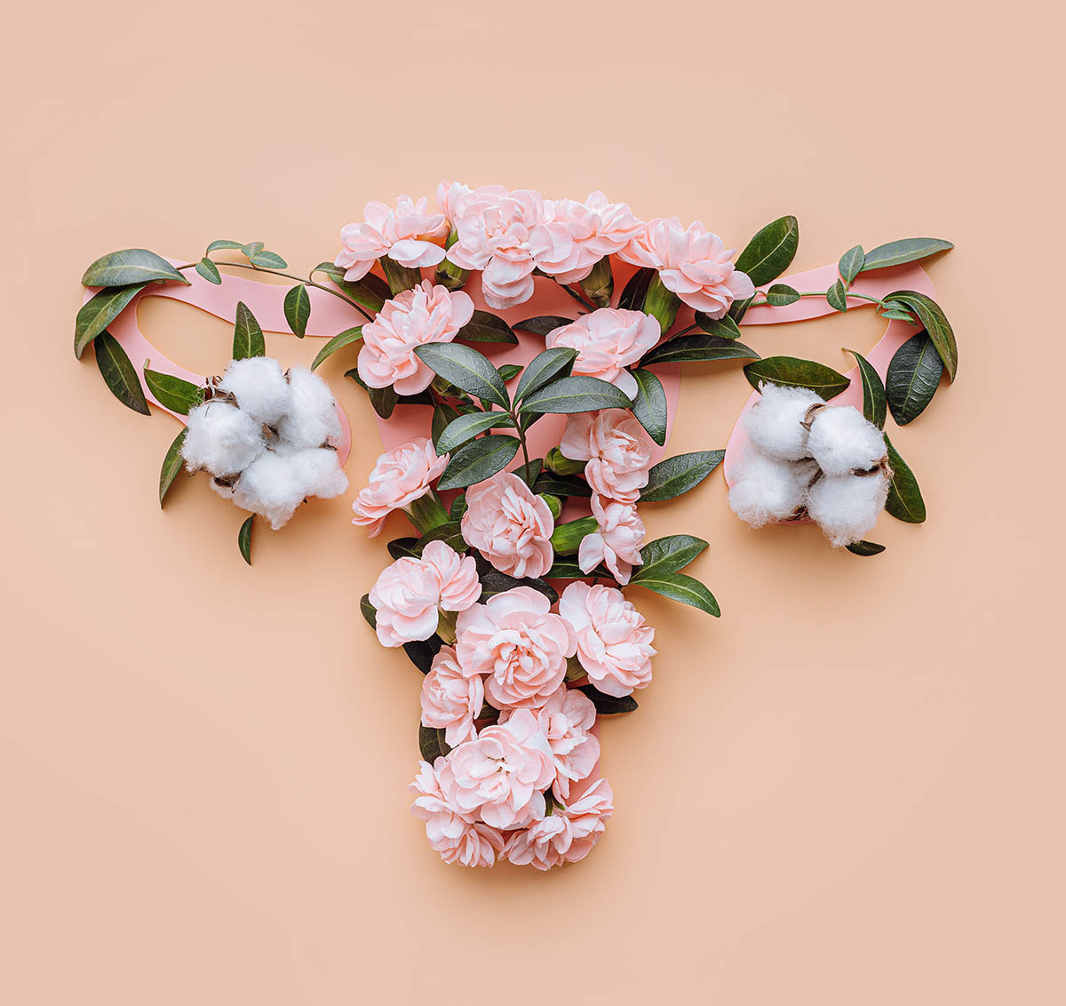 uterus conceptual image. female reproductive system made up of f