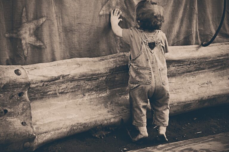 toddler-238466_1280